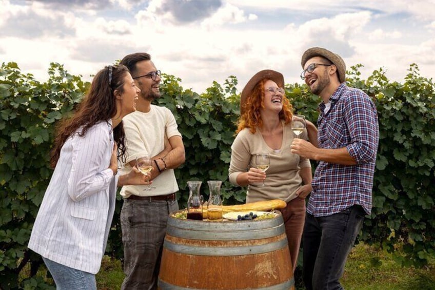Stancija Collis: A Winery Adventure Tour in Rovinj