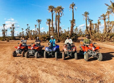 Marrakech: Quad Bike Tour zur Palmenoase und Jbilat Wüste