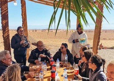 Marrakech : Excursion en quad à l'oasis de Palmiers et au désert de Jbilat