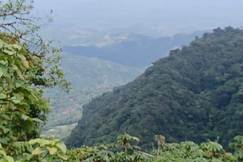 Monteverde Cloud Forest Private Tour