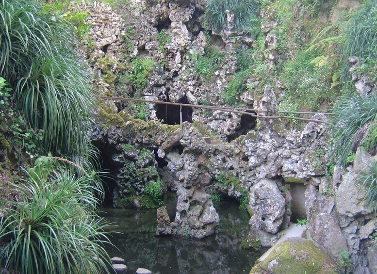 Picture 2 for Activity Sintra: Quinta da Regaleira Skip-the-Line Entry with Host