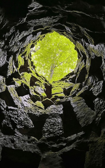 Picture 4 for Activity Sintra: Quinta da Regaleira Entry Tickets with Host