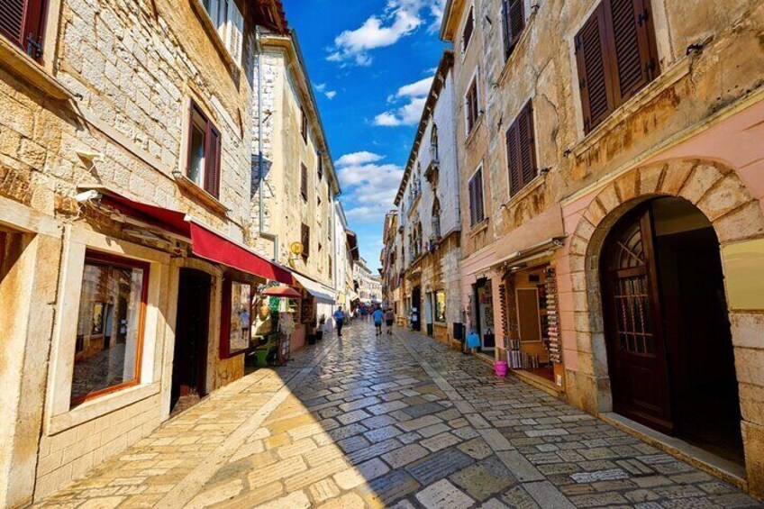 Full-Day Istrian Gems Tour in Croatia