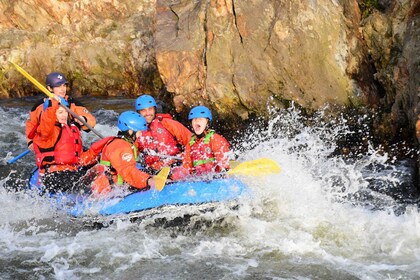 Tour de rafting panorámico de grado 2 en Te Awa Kairangi