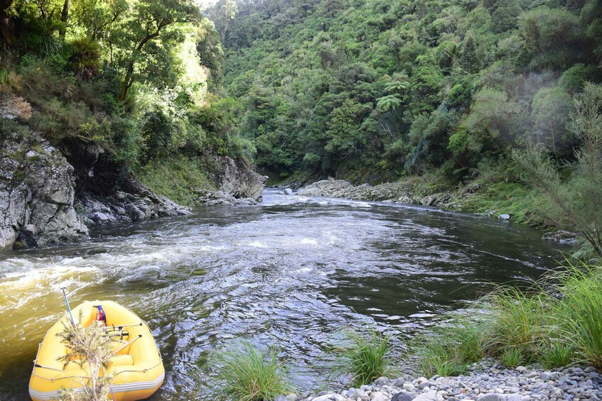 Picture 3 for Activity Wellington: Te Awa Kairangi Class 3 Whitewater Rafting Tour