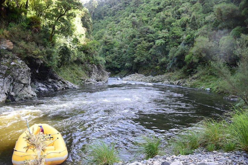 Picture 3 for Activity Te Awa Kairangi Wilderness Grade 3 White Water Rafting Tour