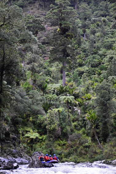 Picture 7 for Activity Wellington: Te Awa Kairangi Class 3 Whitewater Rafting Tour