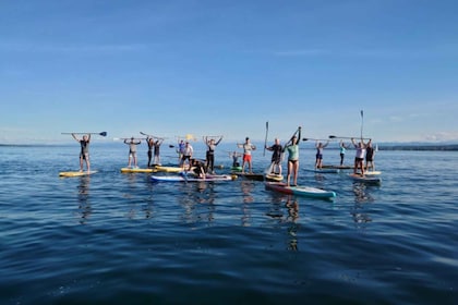 Allensbach: SUP Course & Tour