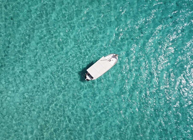 Picture 14 for Activity Mallorca: Southern Beaches Private Llaut Boat Tour