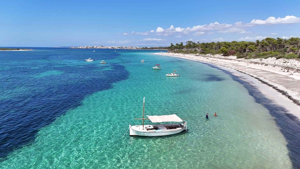 Picture 16 for Activity Mallorca: Southern Beaches Private Llaut Boat Tour