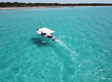 Mallorca : Plages du sud Bateau privé Llaut excursion