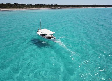 Mallorca: Südliche Strände Private Llaut Bootstour