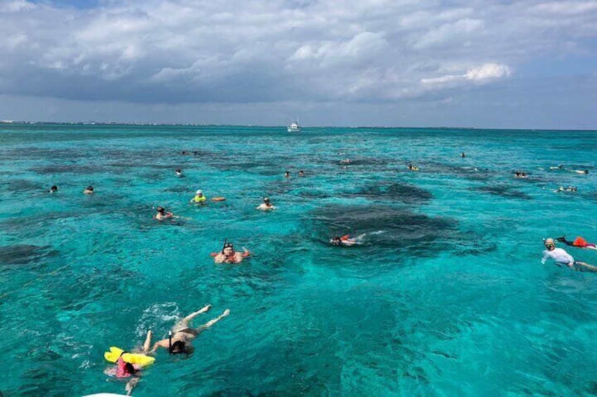 Acquarius Stingray and Snorkel Tours