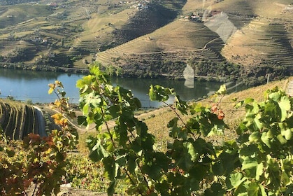 Douro Valley in off road - Private Tour