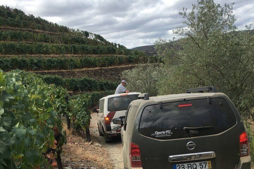 Off Road tour in the vineyards