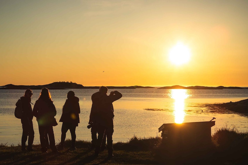 Picture 4 for Activity Tromsø: 1-Way Bus and Ferry Transfer to/from Lofoten