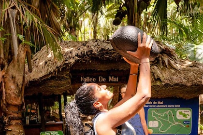 Vallee De Mai & Anse Lazio Beach Opastettu bussikierros