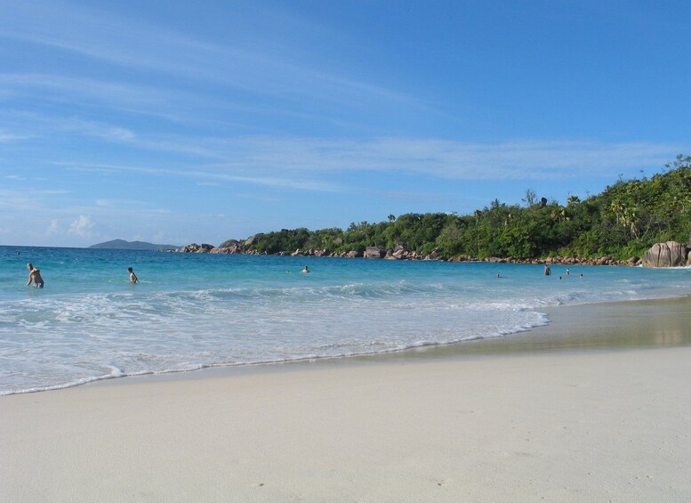 Picture 2 for Activity Vallee De Mai & Anse Lazio Beach Guided Bus Tour