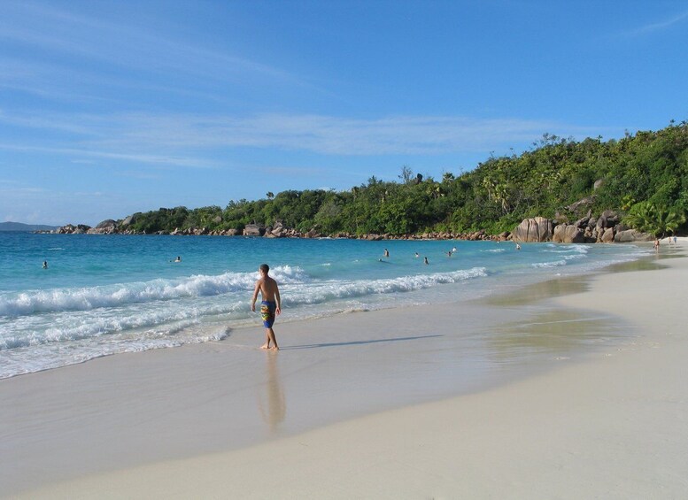 Picture 4 for Activity Vallee De Mai & Anse Lazio Beach Guided Bus Tour