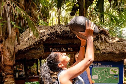 Vallee De Mai & Anse Lazio Strand Bus Tour met gids