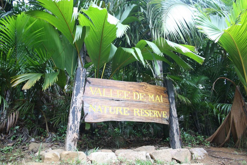 Picture 1 for Activity Vallee De Mai & Anse Lazio Beach Guided Bus Tour