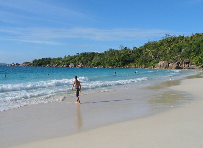 Picture 4 for Activity Vallee De Mai & Anse Lazio Beach Guided Bus Tour