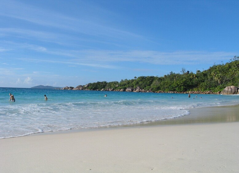 Picture 2 for Activity Vallee De Mai & Anse Lazio Beach Guided Bus Tour