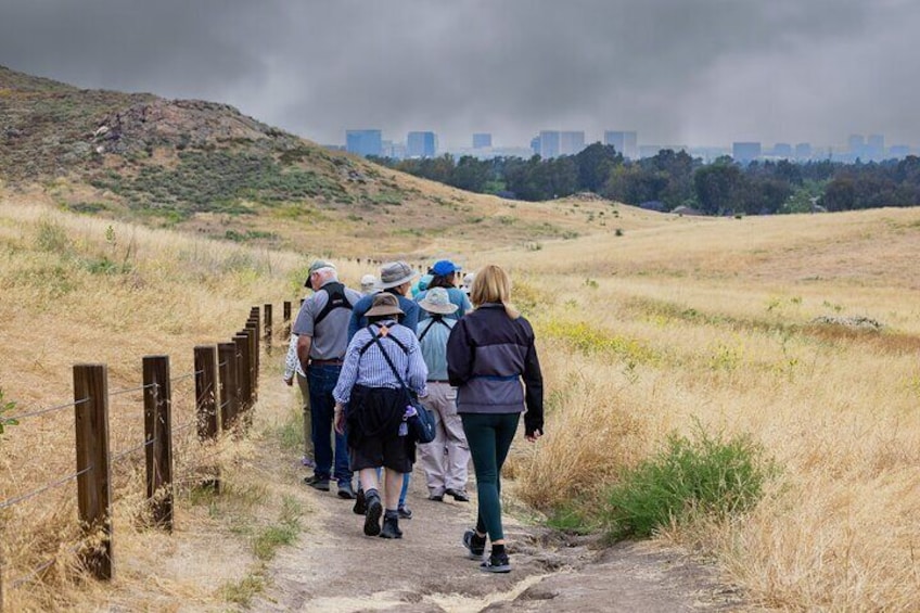 Private California Birding Photography Full DayTour