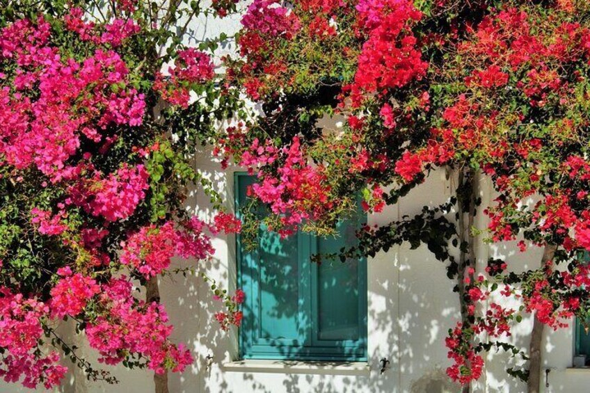 Paros Island Private Half Day Driving Tour