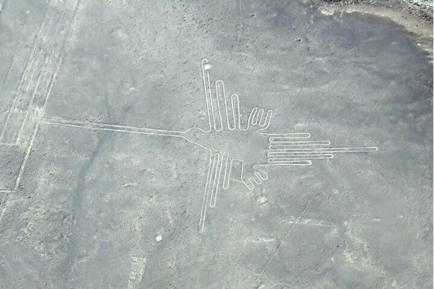 Private Tour Nazca Lines & Huacachina from Lima