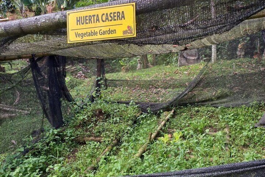 5-Hour Coffee and Pablo Express Mix Tour in Medellín