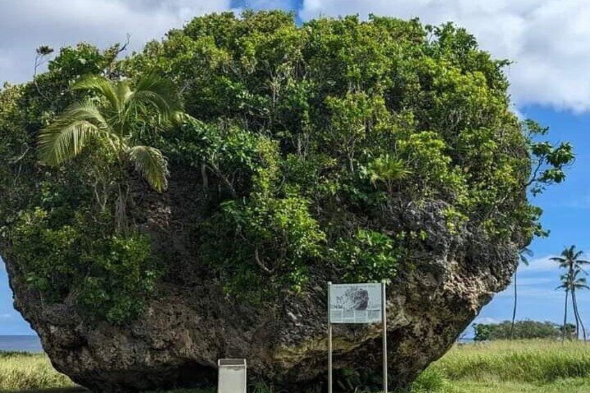 Private Full Island Tongatapu Tour with Anahulu Cave Swim