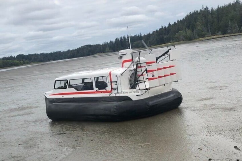 Mud flats amphibious training