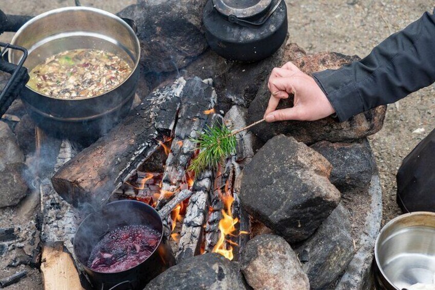 Wild Food & Foraging Hike with Open Fire Lunch