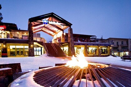 Mount Buller Sightseeing Tour