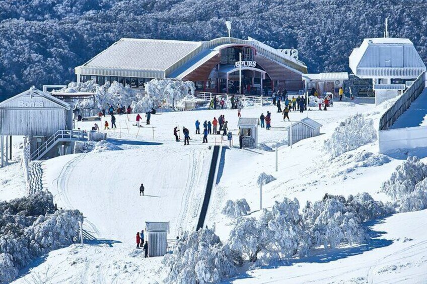 Mount Buller Sightseeing Tour 