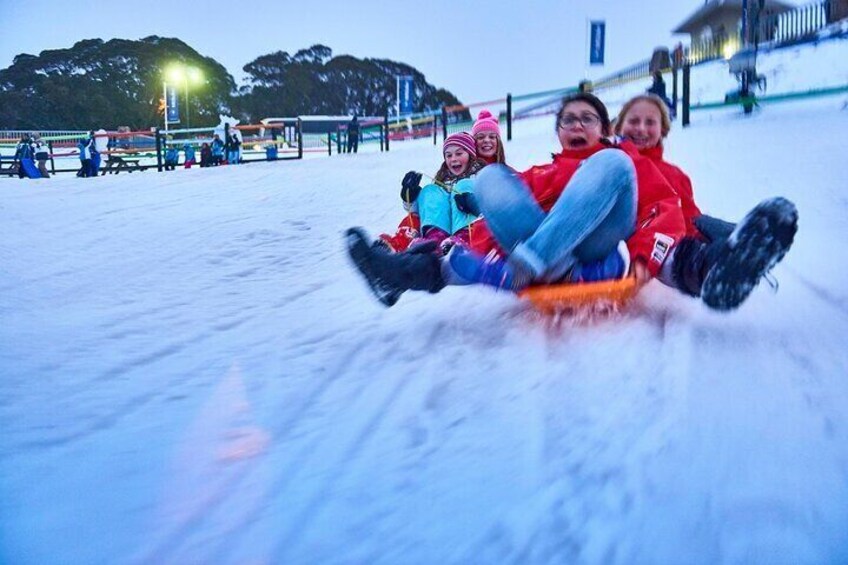 Mount Buller Sightseeing Tour 