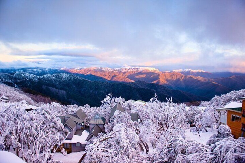 Mount Buller Sightseeing Tour 