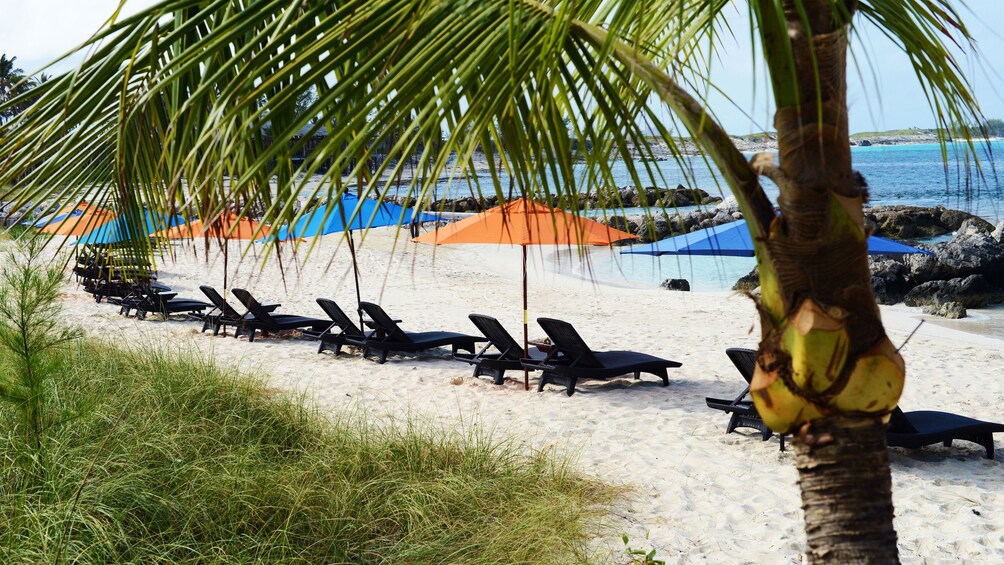VIP Beach Experience on Blue Lagoon Island with Buffet Lunch