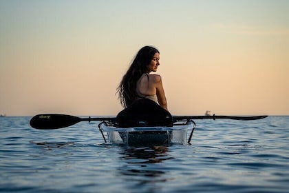 Rent a Transparent Kayak - Discover the Underwater Magic