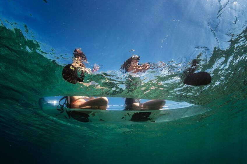 Rent a Transparent Kayak - Discover the Underwater Magic