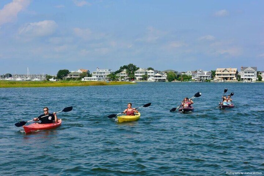 Eco Kayak Tour in Wrightsville Beach