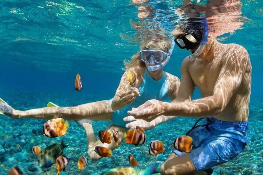 Tulum Mayan Ruins Tour and Reef Snorkeling Adventure 