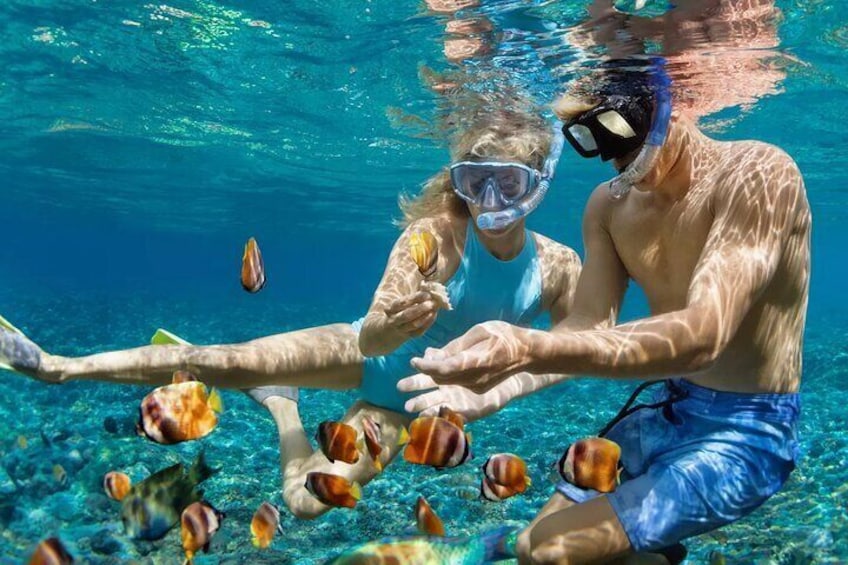 Tulum Mayan Ruins Tour and Reef Snorkeling Adventure