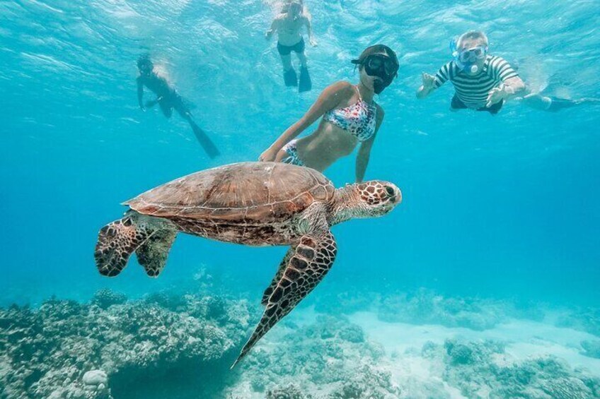 Tulum Mayan Ruins Tour and Reef Snorkeling Adventure 