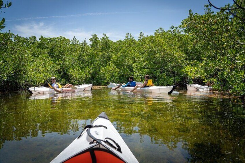 Small Group Glass Bottom Kayak Adventure- Cayman Islands 
