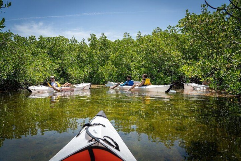 Small Group Glass Bottom Kayak Adventure- Cayman Islands