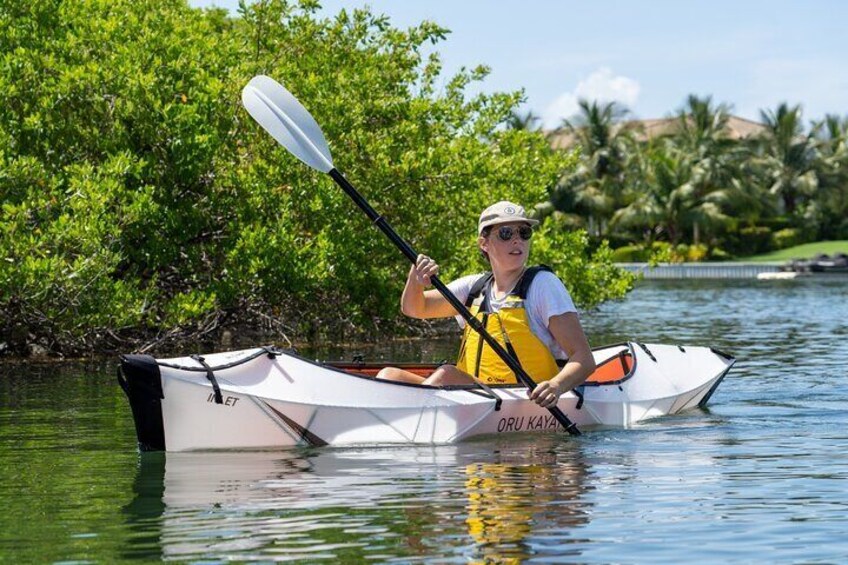 Small Group Kayak Adventure in the Cayman Islands