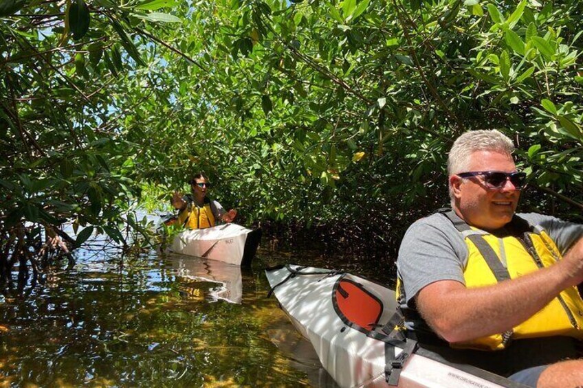 Small Group Kayak Adventure in the Cayman Islands
