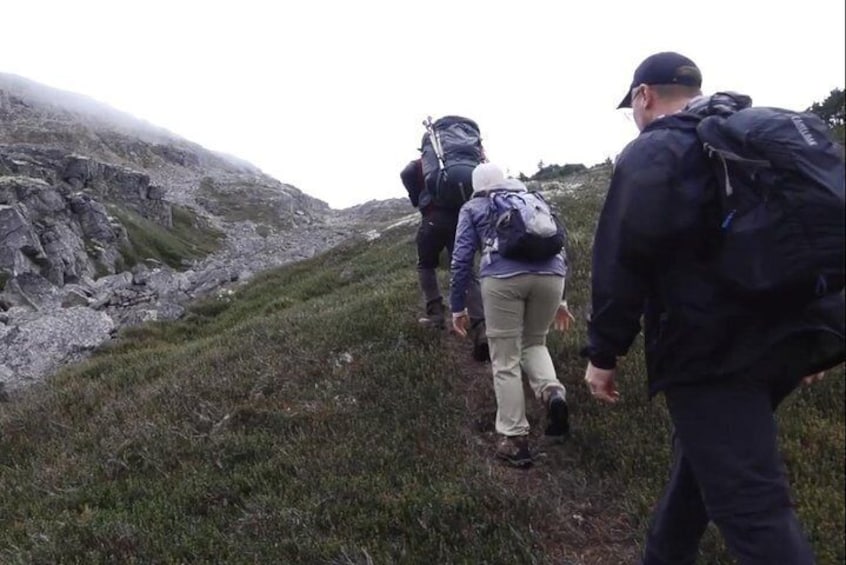 Hiking